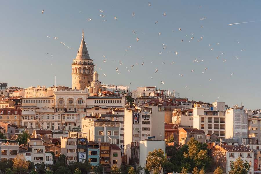 Vize Danışmanlığı